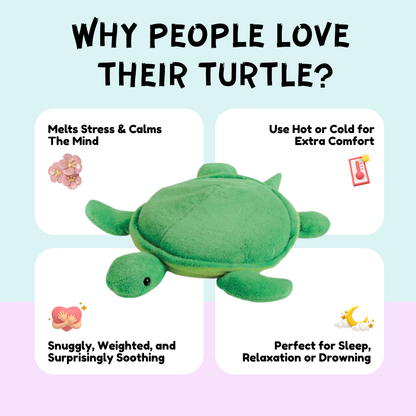 The Calm Companions Collection