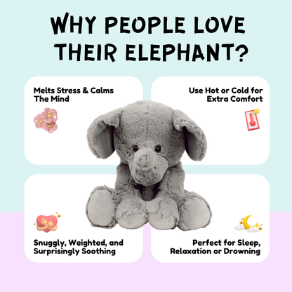 The Calm Companions Collection