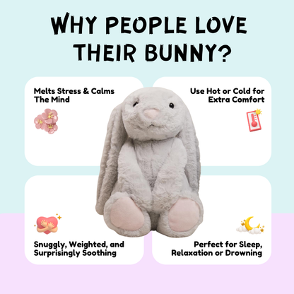 The Calm Companions Collection